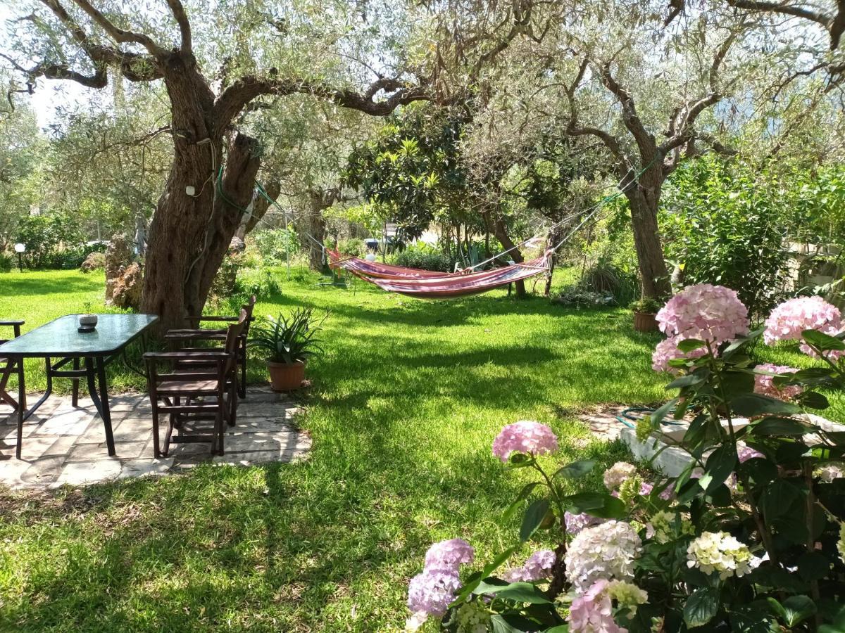 Olive Garden Villas And Apartments Chrysi Ammoudia Habitación foto